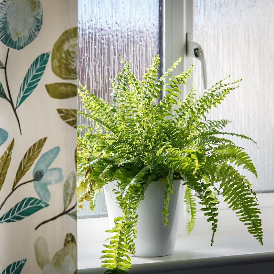 Chestnut Cottage Felbrigg 외부 사진
